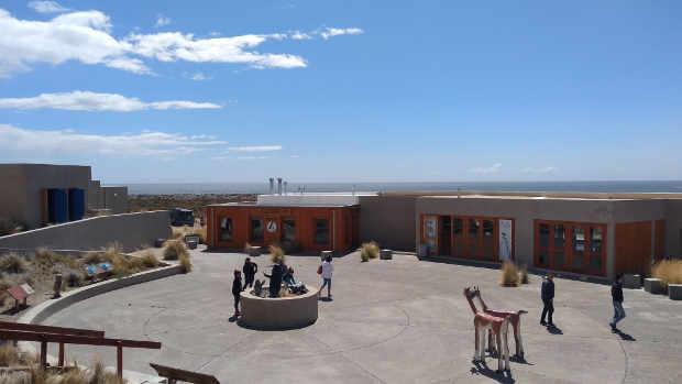 Punta Tombo