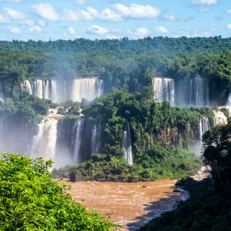Cataratas brasileras con Parque de las aves